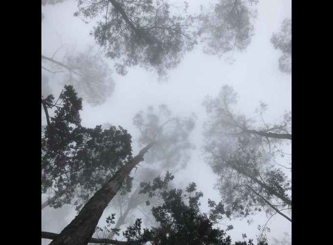 Kodaikanal Tour And Travels