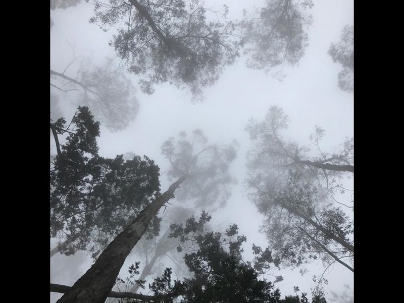 Kodaikanal Tour And Travels