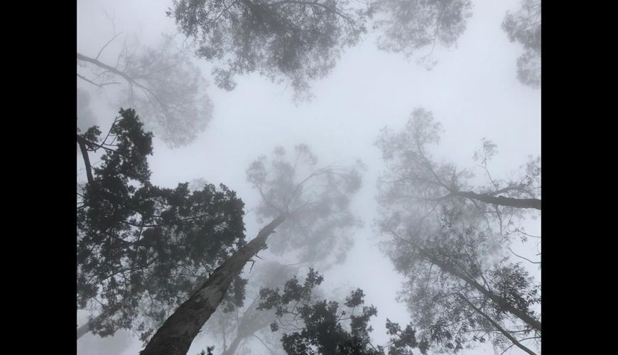 Kodaikanal Tour And Travels