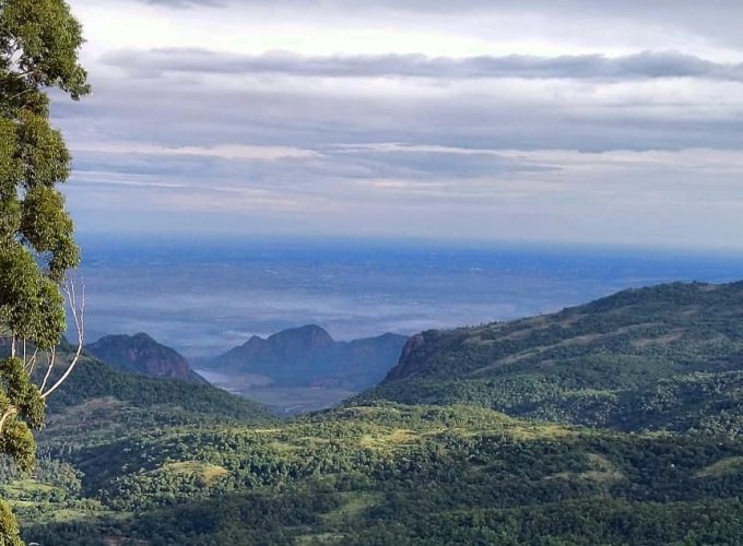 Kodaikanal Tour And Travels