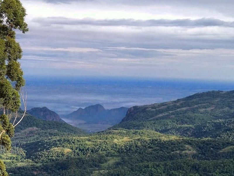 Kodaikanal Tour And Travels