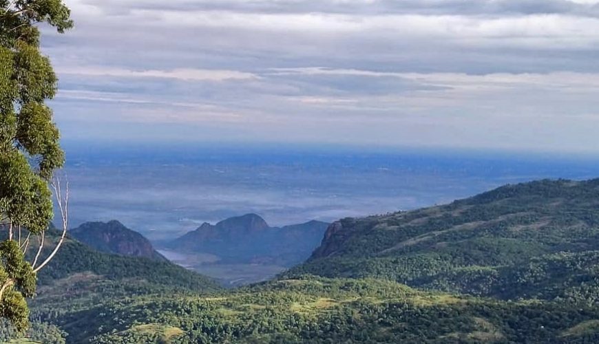 Kodaikanal Tour And Travels