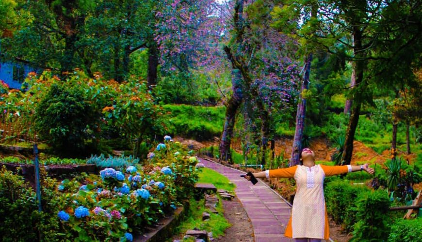 Kodaikanal Tour And Travels