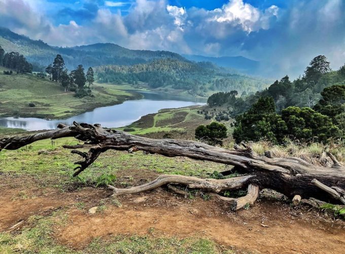 Kodaikanal Tour And Travels