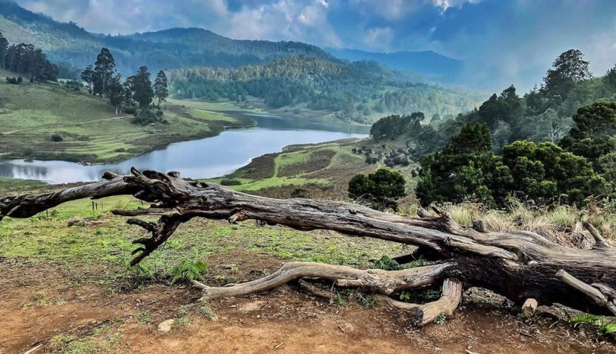 Kodaikanal Tour And Travels